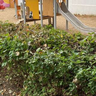 Spielplatz Hohenzollernstraße – Bild 3