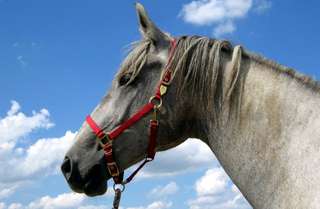 Gut Konraderhof – Bild 3