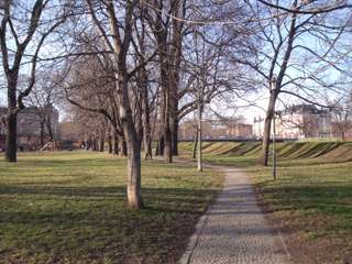 An der Spielwiese – Bild 2