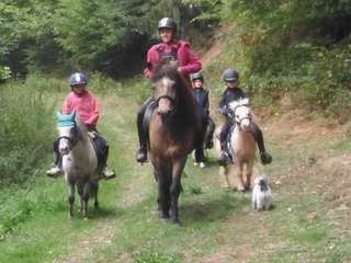 Ponyland Ennest – Bild 3