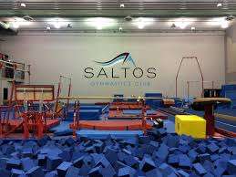 Saltos Gymnastics Club – Bild 1