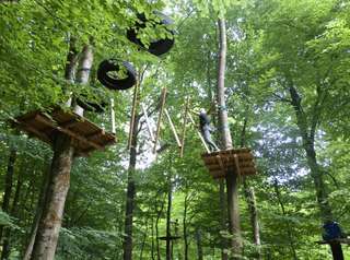 Teammotion – Bild 2