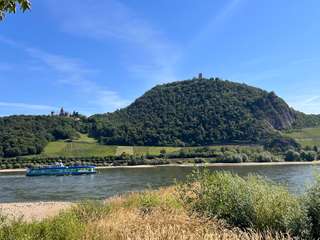 Drachensteinpark – Bild 4