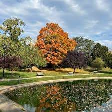 Wilcox Park – Bild 6
