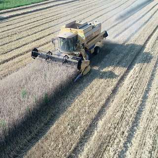 Hof Lippholthausen – Bild 3