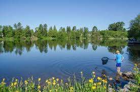 Como Lake Park – Bild 2