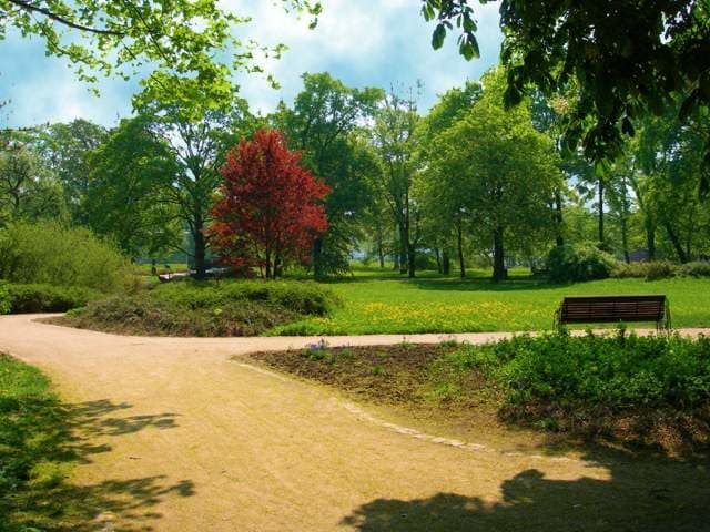 Schlobigpark – Bild 1