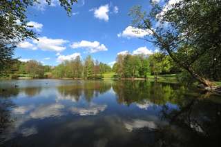 Stadtpark – Bild 1