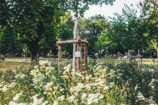 Baumschulwäldchen – Bild 5