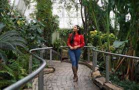 Butterfly Conservatory – Bild 1