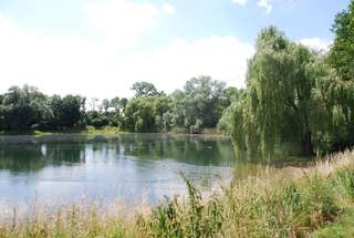 Stadtpark – Bild 1