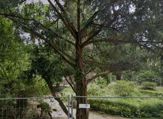 Park am Johannesplatz Meißen - Cölln – Bild 1