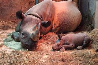 Zoo Krefeld gGmbH – Bild 2