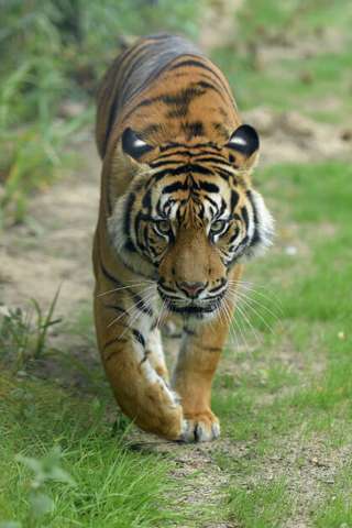 Zoo Krefeld gGmbH – Bild 4