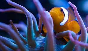 Sea Life Caverns – Bild 1