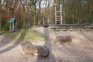 Spielplatz Eversten Holz – Bild 6