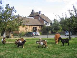 Spiel- & Erlebnisbauernhof Christinenhof – Bild 1
