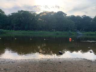 Naherholungsgebiet Weser – Bild 3