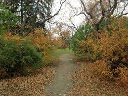 Elgin Park – Bild 1