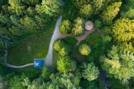 Williams Park – Bild 2