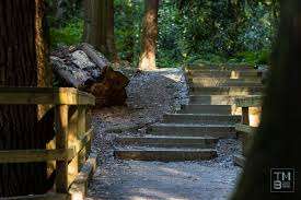 Williams Park – Bild 5