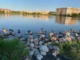 Kenny's Pond Park – Bild 1