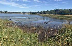 Kenny's Pond Park – Bild 2