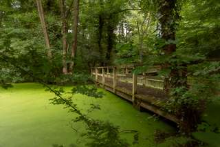 Rutsche am Zaubersee – Bild 6