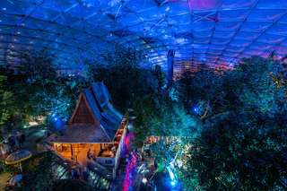 Gondwanaland – Bild 5