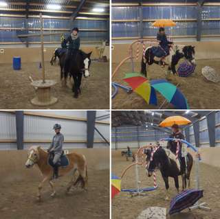 Reitschule Hof Tannhorst – Bild 4