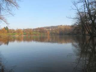 Mattheiser Weiher – Bild 3
