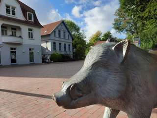 Eversten Holz – Bild 2