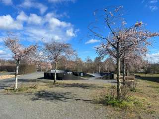 Pumptrack – Bild 2