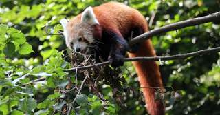 Zoo Leipzig – Bild 4