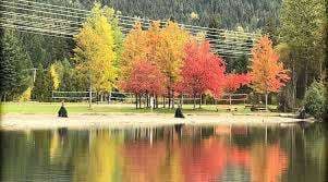 Rainbow Park – Bild 4