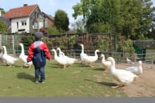 Arche-Park Tiergehege Witthausbusch – Bild 5