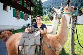 Arvenhof Lama-Trekking/Pension/Ferienwohnungen – Bild 1