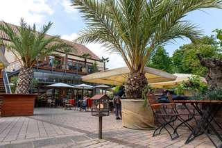 Finca & Bar Celona – Bild 4