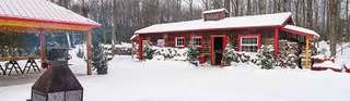 Cabane A Sucre Chez Dany – Bild 4