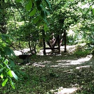 Waldspielplatz – Bild 3