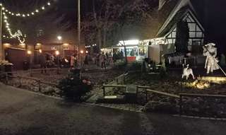 Walshagenpark – Bild 4