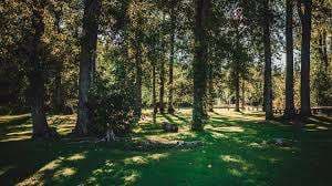 Wilkins Regional Park – Bild 1