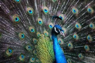 Streichelzoo Hohenstein Witten – Bild 3