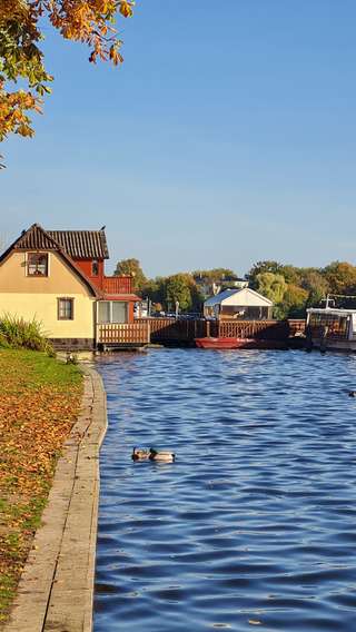 Falkenwiese – Bild 2