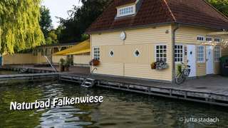 Falkenwiese – Bild 5
