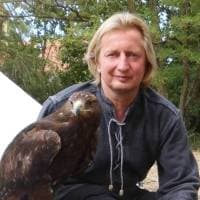 Greifvogel-Flugschau – Bild 1