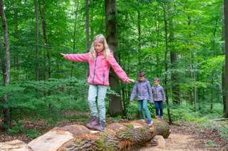 Natur-Erlebnis-Pfad Künzelsau – Bild 1