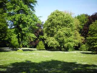 Rencks Park Neumünster – Bild 1