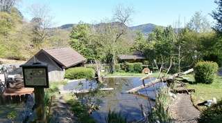 Schwarzwaldzoo Waldkirch – Bild 1