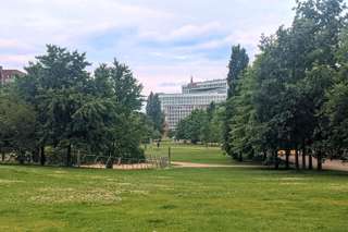 Die Super-Rutsche im Lohsepark – Bild 4